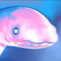 Profile picture gooseworx.bsky.social