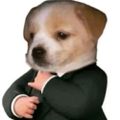 Profile picture purelittlesheep.bsky.social