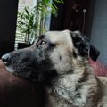 Profile picture max1.bsky.social