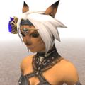 Profile picture windurstkitten.bsky.social