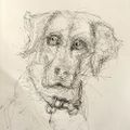 Profile picture jaroguescholar.bsky.social