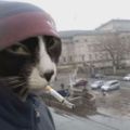 Profile picture anabeea.bsky.social
