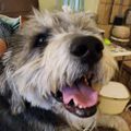 Profile picture olivierrupert.bsky.social