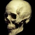 Profile picture iseultstower.bsky.social