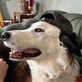 Profile picture katehl.bsky.social
