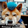Profile picture nafofellacologne.bsky.social