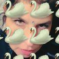 Profile picture julesley.bsky.social
