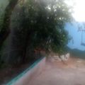 Profile picture hugoluizdossantos.bsky.social