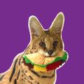 Profile picture eldarynka.bsky.social
