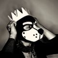 Profile picture drackryu.bsky.social