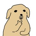 Profile picture benji.gg