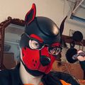 Profile picture thathornydoggo.bsky.social