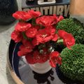 Profile picture didyousmellit.bsky.social