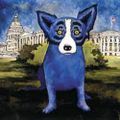 Profile picture bluedogsftw.bsky.social