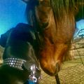 Profile picture bdrc.bsky.social