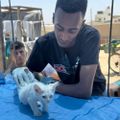 Profile picture sulalaanimalsaver.bsky.social