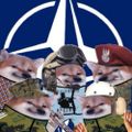 Profile picture official-nafo.bsky.social