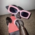 Profile picture gioxxz.bsky.social