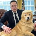Profile picture presidentleonskum.bsky.social