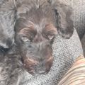 Profile picture wilsherm.bsky.social