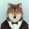 Profile picture alpaca08.bsky.social