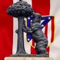 Profile picture felisuco77.bsky.social