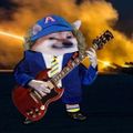 Profile picture nlwartracker.bsky.social