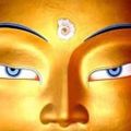 Profile picture bravenew1.bsky.social