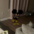 Profile picture mickeymousedude.bsky.social