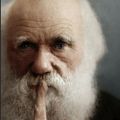 Profile picture darwin314.bsky.social