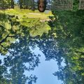 Profile picture maggiie0.bsky.social