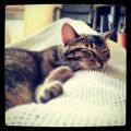 Profile picture lucasgreffier.bsky.social