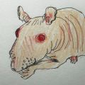 Profile picture b4djur.bsky.social