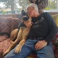 Profile picture soulhealingk9.bsky.social
