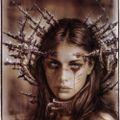 Profile picture strelitzia22.bsky.social
