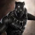 Profile picture thisaintadrill.bsky.social