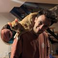 Profile picture cardellefr.bsky.social