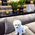 Profile picture kris451.bsky.social