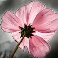Profile picture brkingaway.bsky.social
