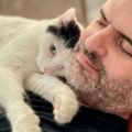 Profile picture bernardokastrupcat.bsky.social