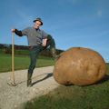Profile picture chrigelli.bsky.social