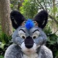Profile picture steelclawfox.bsky.social
