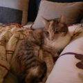 Profile picture tajska.bsky.social