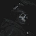 Profile picture sku11y.bsky.social