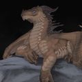 Profile picture greatderg.bsky.social