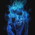 Profile picture blupanther.bsky.social