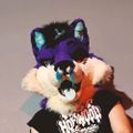 Profile picture aurawolfad.bsky.social
