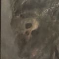 Profile picture pjfreitag.bsky.social