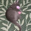 Profile picture merhejeyne.bsky.social