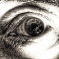 Profile picture setentamonos.bsky.social